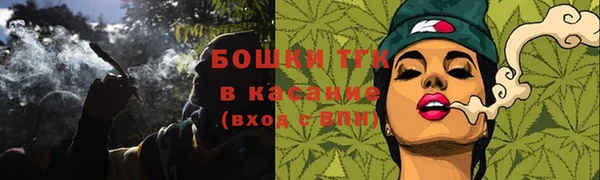 Альфа ПВП Бородино