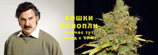 гашик Волосово