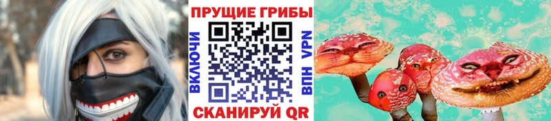 Псилоцибиновые грибы мицелий  Кадников 